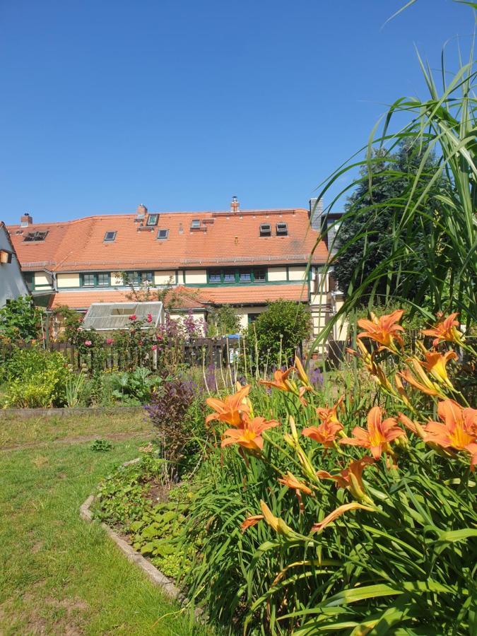 Denkmal-Ferienhaus In Dresden-Hellerau Mit Sauna Und Kamin Exterior photo